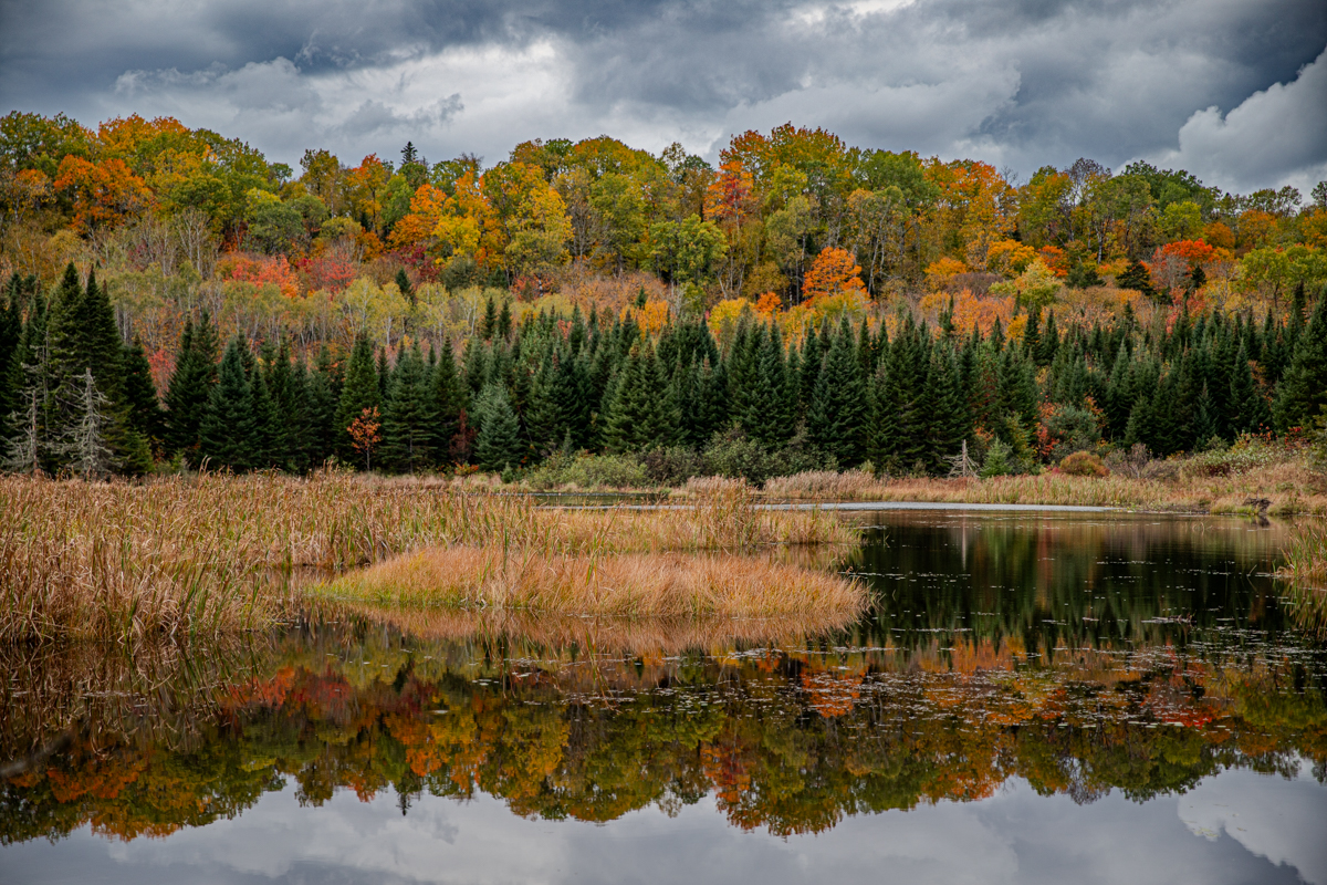 Alberi in autunno riflessi in un lago