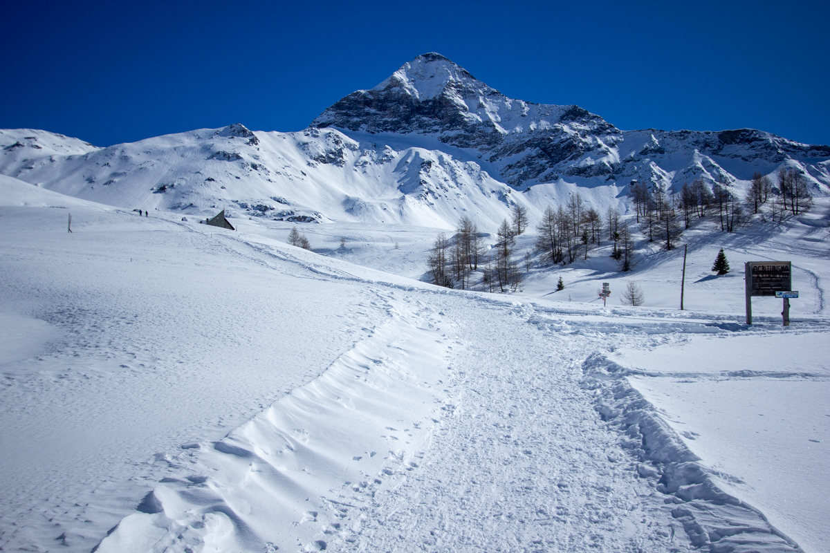 Montagna innevata - Pizzo Scalino Valmalenco